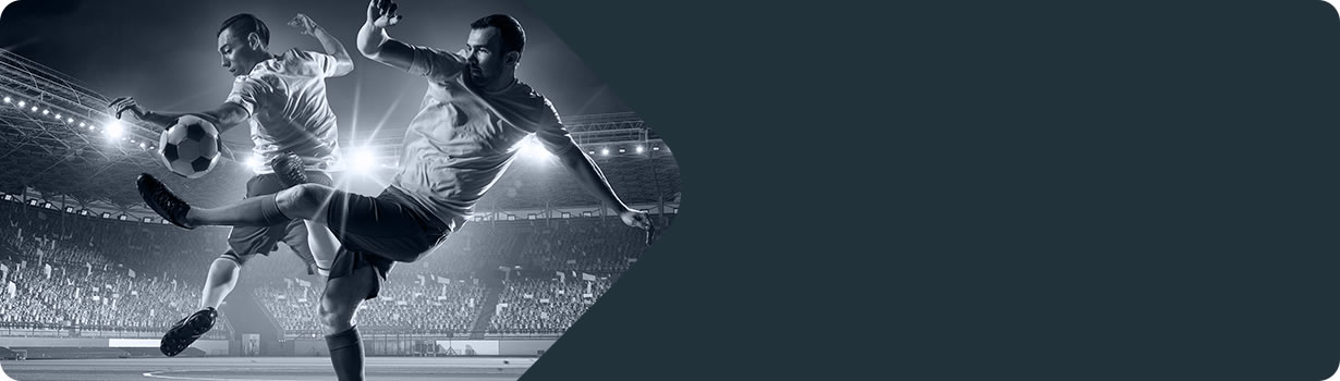 giant sudoku puzzles
